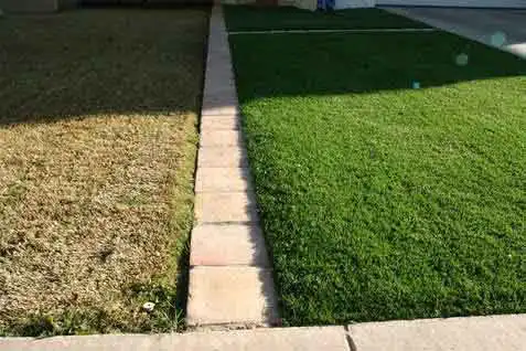 A grama do vizinho sempre será mais verde se você não cuidar da sua. Grama para Cuiabá, MT preço m2