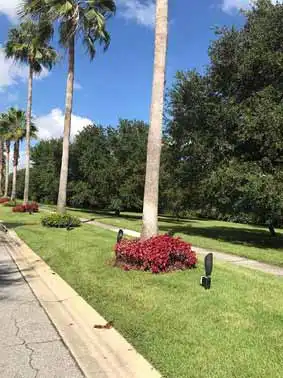 Grama Bermudas preço m2 Belo Horizonte MG