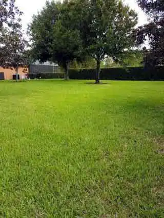 Grama Bermudas preço m2 em Curitiba PR