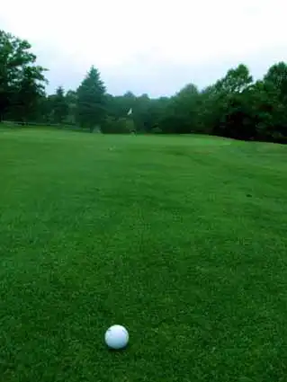 Grama Coreana preço m2 - Golf - Rio de Janeiro - RJ
