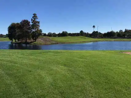 grama coreana preço m2 - Belo Horizonte e região MG
