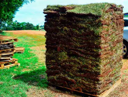 Transportation of Emerald Grass to Curitiba